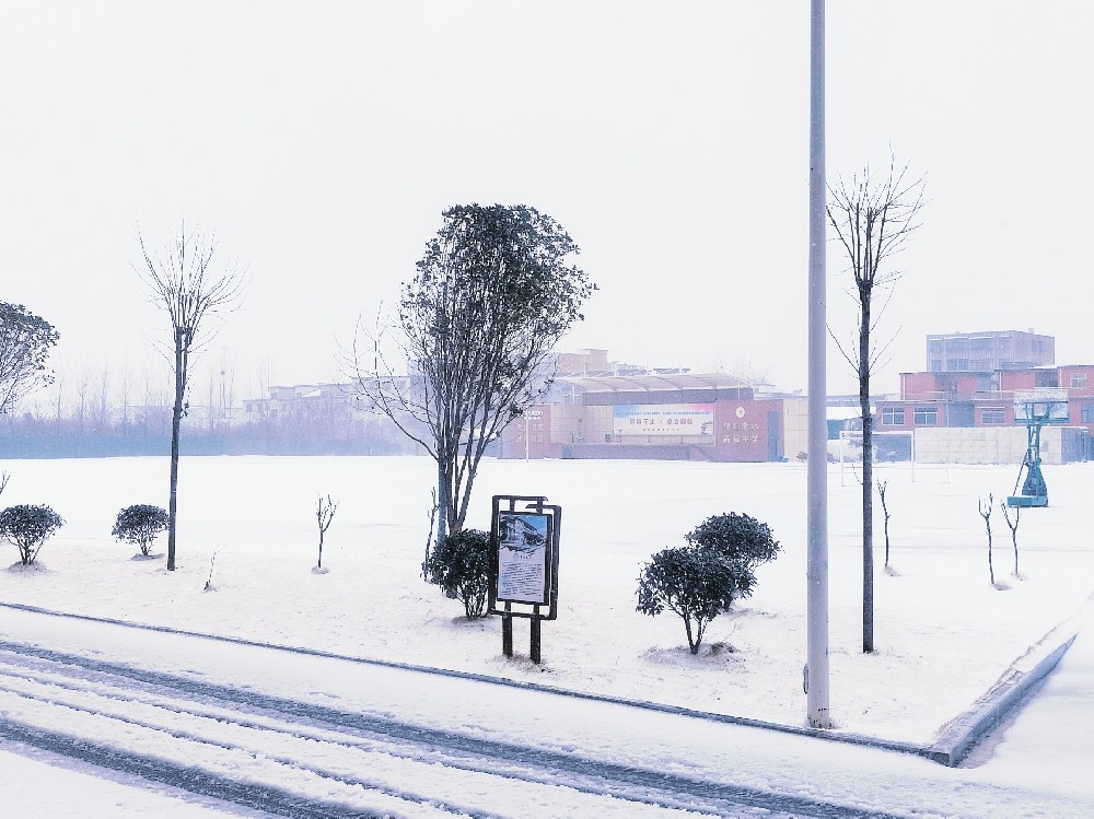 雪后的信衡，满是期许